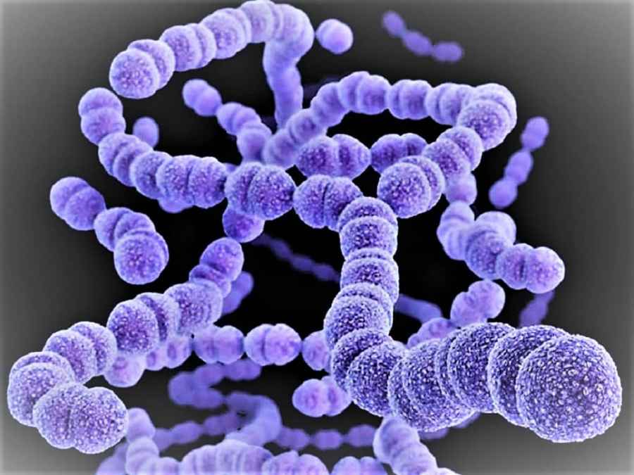 Investigan si circula una cepa más agresiva de la bacteria que ya causó seis muertes en el país