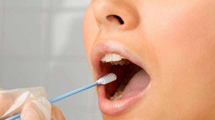 Estimula las c&eacute;lulas que crean los vasos sangu&iacute;neos