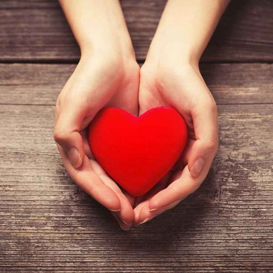 Hallan la forma de promover la regeneraci&oacute;n del tejido del coraz&oacute;n en adultos