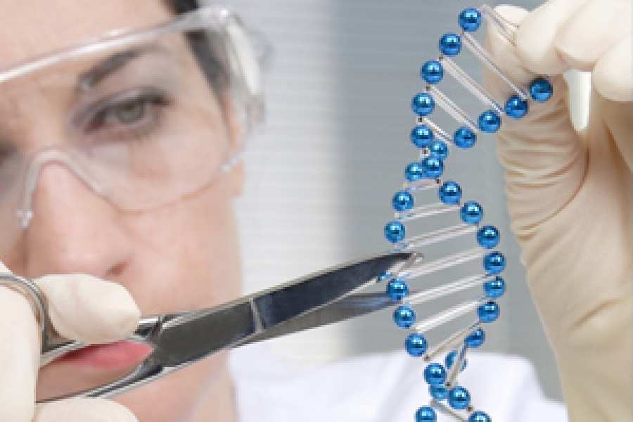 Dos estudios publicados de forma simultánea en Science y Nature amplían las fronteras de las técnicas CRISPR.