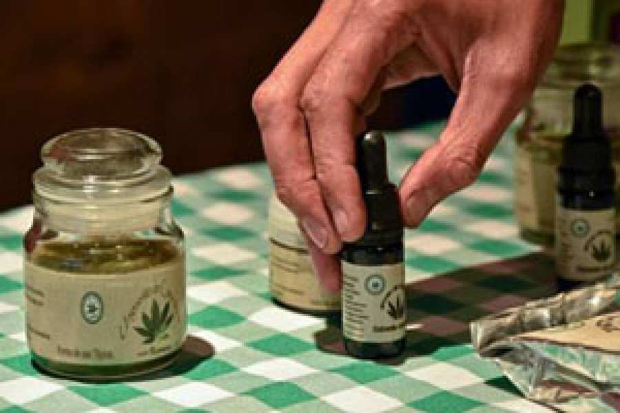 Uruguay autorizó la venta de medicamentos a base de compuestos extraídos del cannabis en farmacias, en un nuevo paso hacia una reglamentación total de la comercialización de la marihuana y sus derivados.