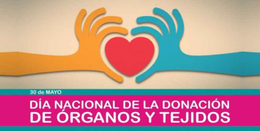 Se Conmemora El Dia Nacional De La Donacion De Organos Y Tejidos Revista Dosis Revista Dosis