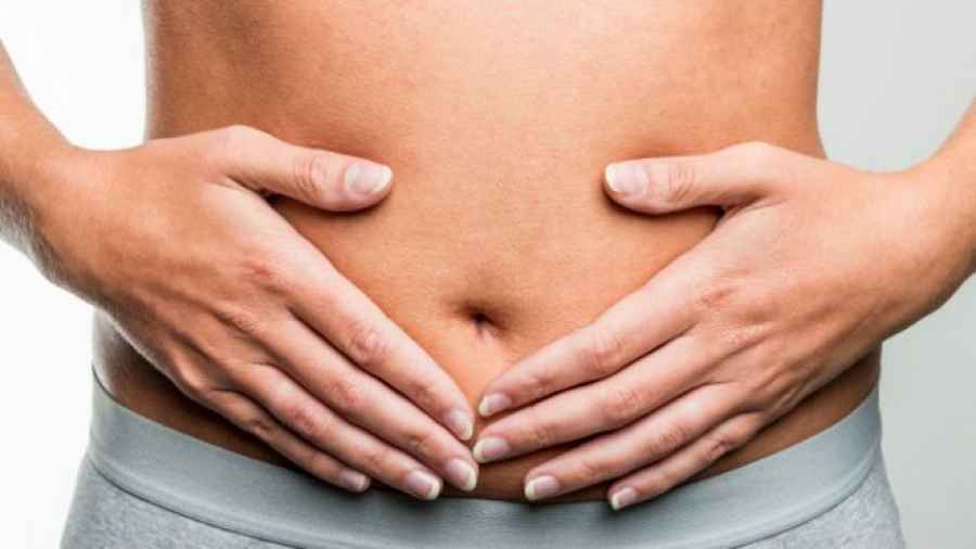 Las células inmunitarias intestinales, claves en la salud cardiovascular