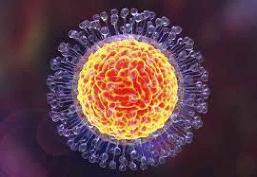 Identifican un canal i&oacute;nico usado por los virus para infectar a las c&eacute;lulas