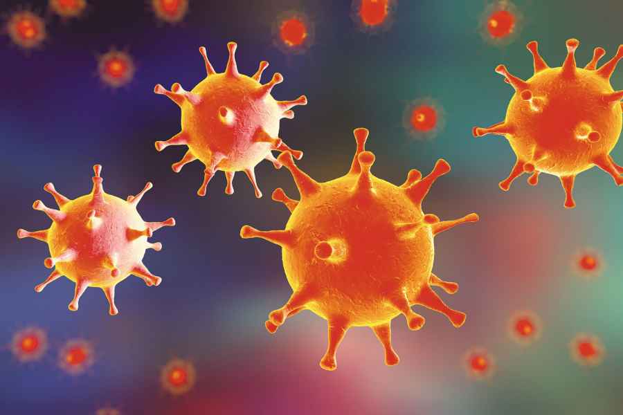 La terapia con virus bacteriófagos, nueva estrategia para tratar infecciones resistentes a antibióticos 