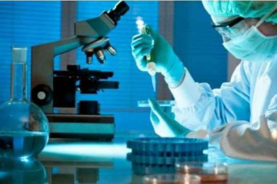 Cómo desarrollar antibióticos más eficaces