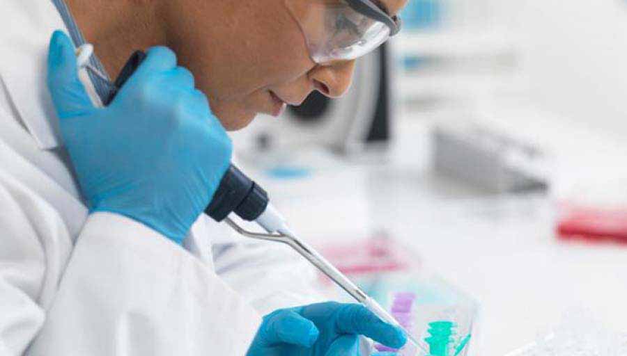 El compuesto, conocido como takinib, trabaja en una prote&iacute;na de se&ntilde;alizaci&oacute;n celular llamada factor de necrosis tumoral alfa, o TNF-alfa.