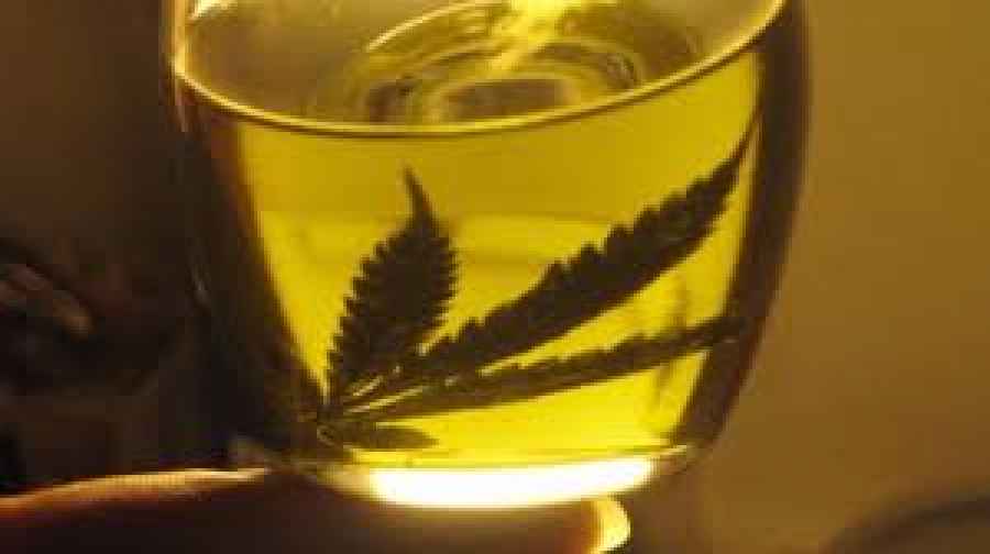 Ya hay medicamentos a base de cannabis en farmacias uruguayas