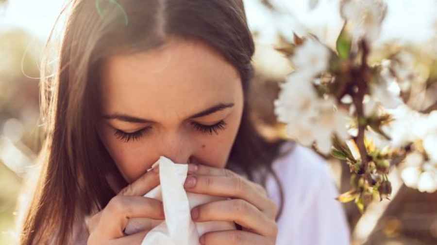 Algunas cepas de la gripe común extinguidas gracias a la cuarentena