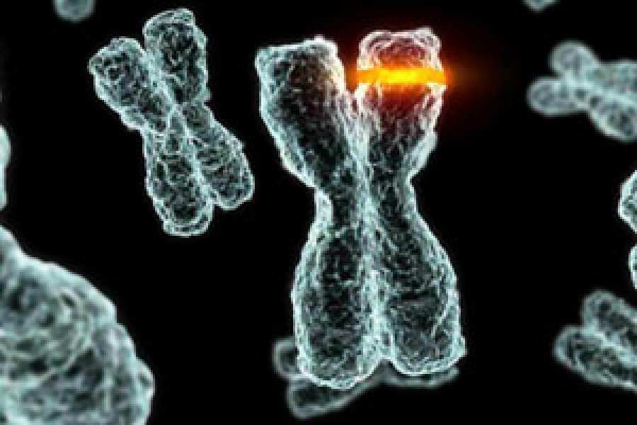Científicos del Wellcome Trust Sanger Institute, en Reino Unido, y colaboradores han proporcionado estimaciones no sesgadas del número de mutaciones necesarias para desarrollar cánceres, en un estudio de más de 7.500 tumores de 29 tipos de cáncer. 