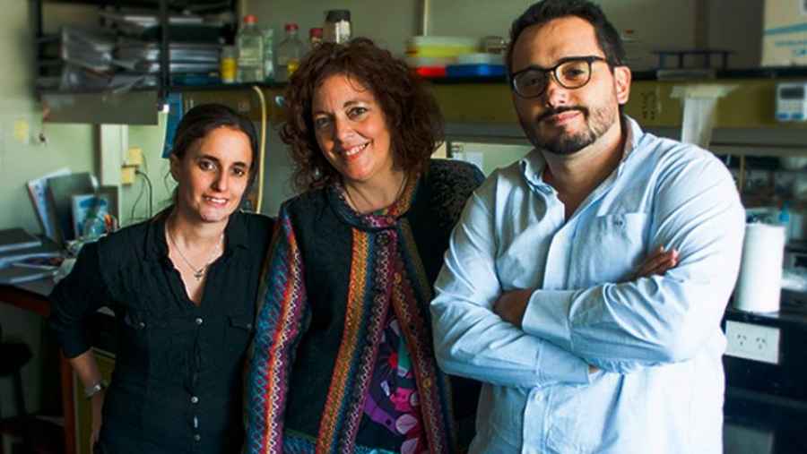 CONICET: hallaron una droga para combatir el cáncer de mama y útero