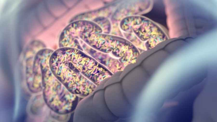 Microbiota y genes, detrás de los efectos de los antibióticos en la presión arterial