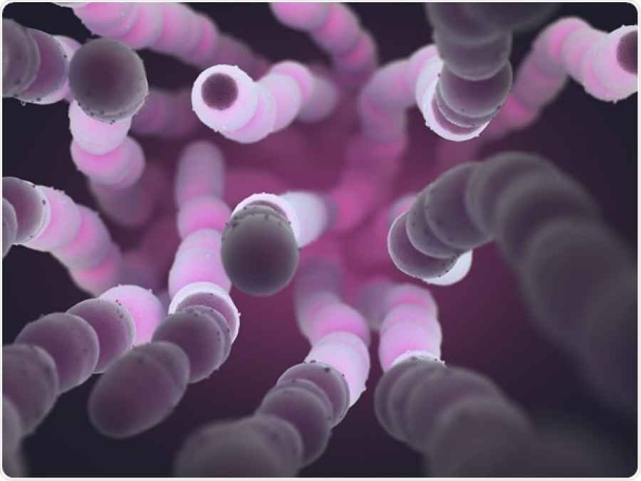 Bloquear la fase de replicación intracelular puede prevenir la septicemia neumocócica