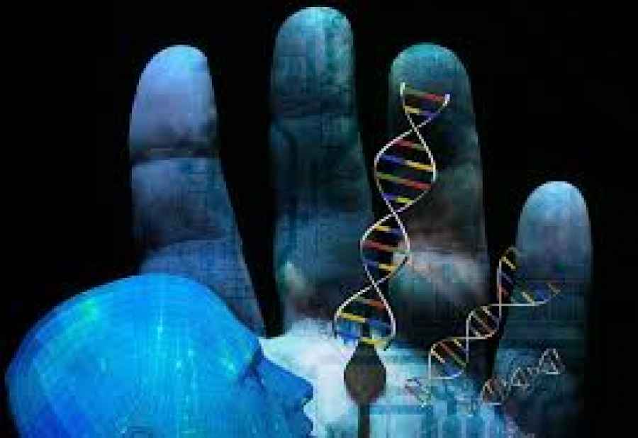 La OMS lanza un registro mundial sobre la edición del genoma humano
