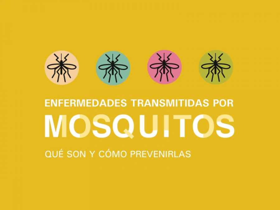 FUNCEI lanza esta publicaci&oacute;n electr&oacute;nica gratuita con la direcci&oacute;n del doctor Daniel Stamboulian y el apoyo de la Fundaci&oacute;n Mosoteguy.