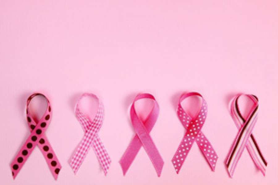 Actividades, talleres y campañas que ayudan a difundir  la importancia del diagnóstico precoz y las nuevas perspectivas de la enfermedad. Además, instituciones que realizan mamografías y consultas gratuitas. 