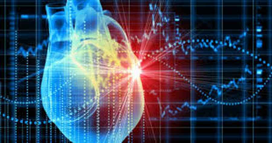 Una proteína podría modular la cardiotoxicidad inducida por quimioterapia