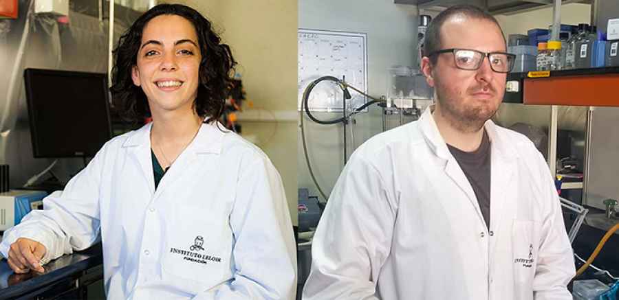 El avance, realizado por cient&iacute;ficos del Instituto Leloir y de Estados Unidos, sienta bases para desarrollar a futuro estrategias terap&eacute;uticas eficaces contra bacterias que causan neumon&iacute;as, otitis agudas, infecciones en la piel y otras complicaciones.