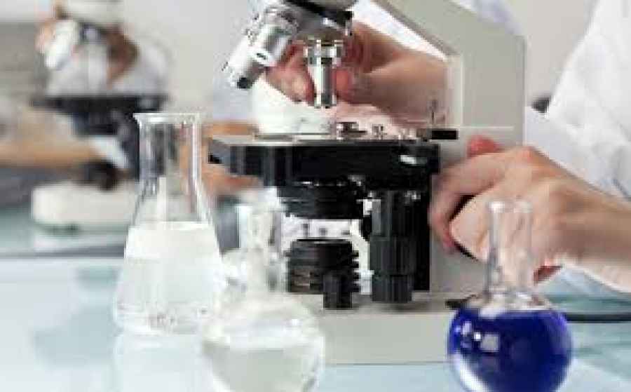 Descubren que inhibir una proteína podría frenar el cáncer de páncreas