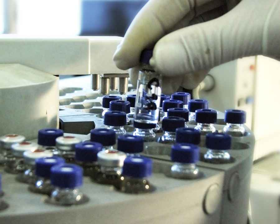 Descubren un mecanismo clave en la infecci&oacute;n del neumococo