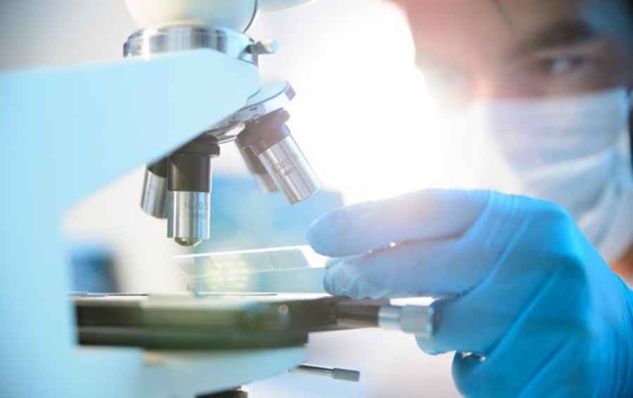 Logran reducir el daño por estrés oxidativo que la diabetes causa en las arterias y riñones