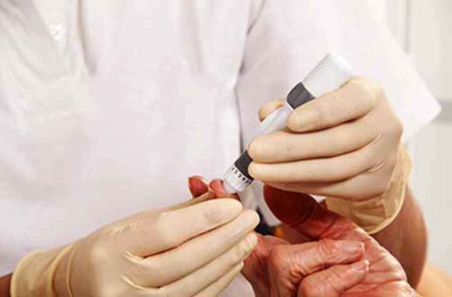 Bloqueo de prote&iacute;na previene aparici&oacute;n de diabetes por envejecimiento