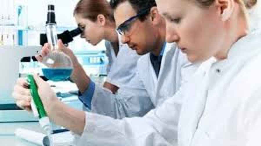 Cient&iacute;ficos del MIT crean una terapia para regenerar los cart&iacute;lagos con artrosis