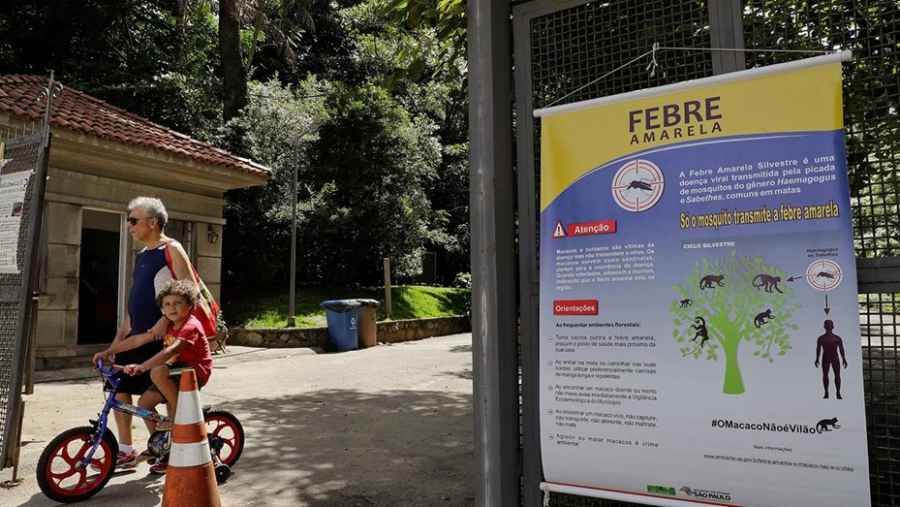 Desde el organismo indicaron que frente a la epidemia de fiebre amarilla en el pa&iacute;s vecino, en la Argentina puede abrirse una ventana a la enfermedad porque existe el mosquito transmisor.