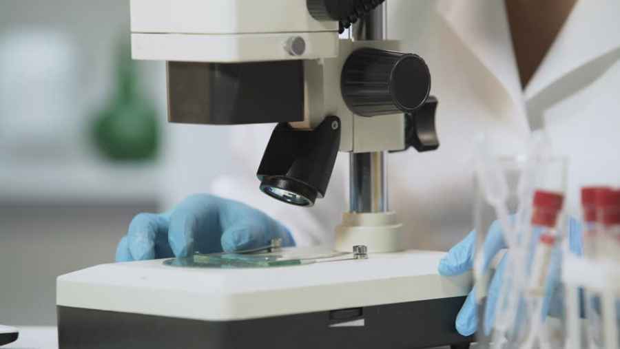 &Eacute;xito del primer ensayo cl&iacute;nico con un antagonista CXCR4 en mama metast&aacute;sico HER2-negativo