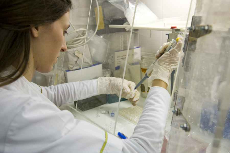 Entre 2006 y 2015 bajó un 40% la solicitud de patentes argentinas en Ciencia y Tecnología