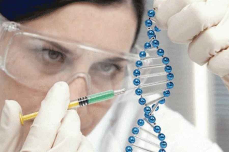 La nueva terapia posibilita el mantenimiento a largo plazo de unos niveles de factor IX de coagulación suficientes para evitar los episodios de sangrado asociados a la enfermedad.