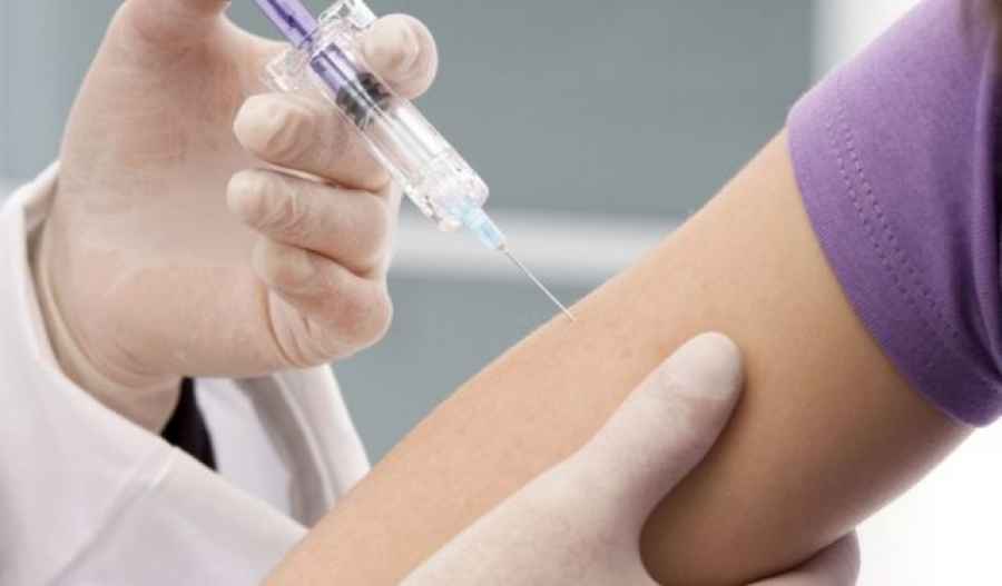 Desarrollan una vacuna de nanopartículas contra el virus de la gripe A