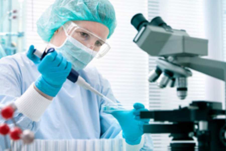 Argentina, firme candidata